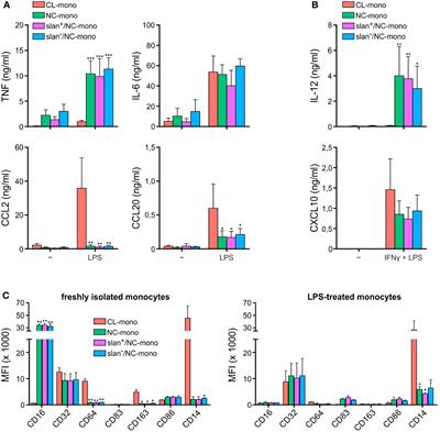 The slan antigen identifies the prototypical non-classical CD16+-monocytes in human blood